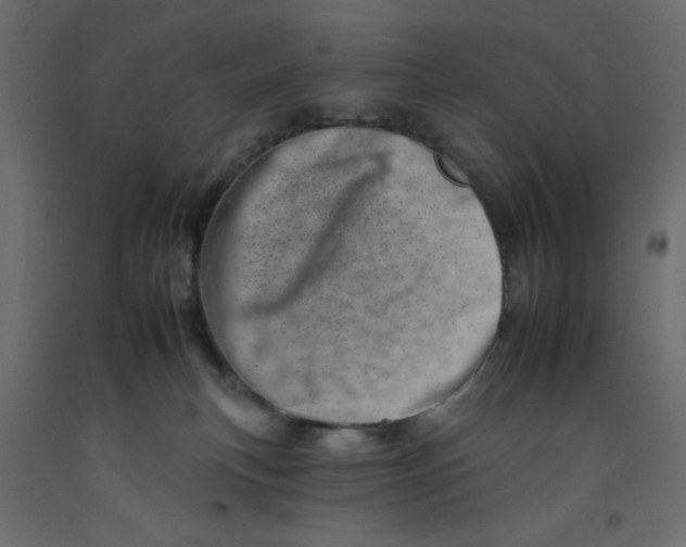 X0000092260183200710121347