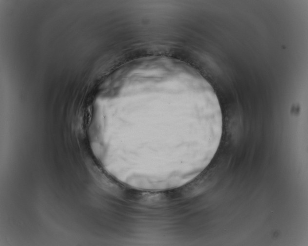 X0000092260185200710121347