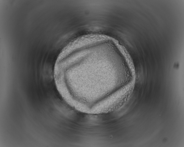 X0000092260187200710121347