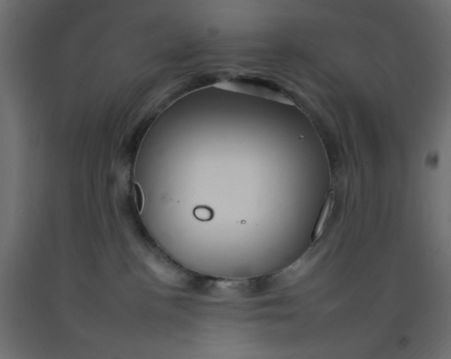 X0000092260188200710121347