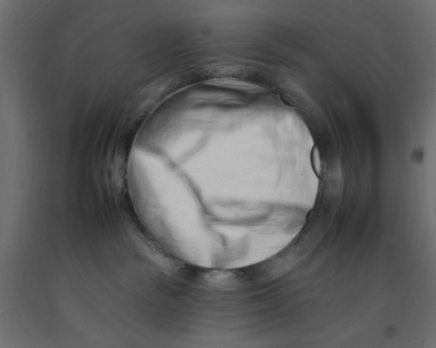 X0000092260189200710121347