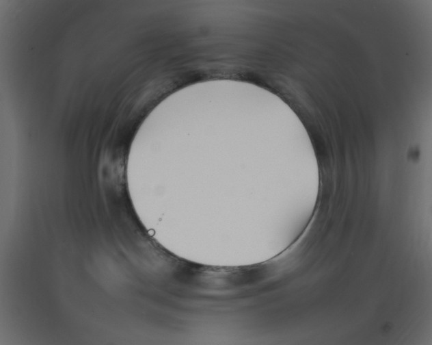 X0000092260190200710121347
