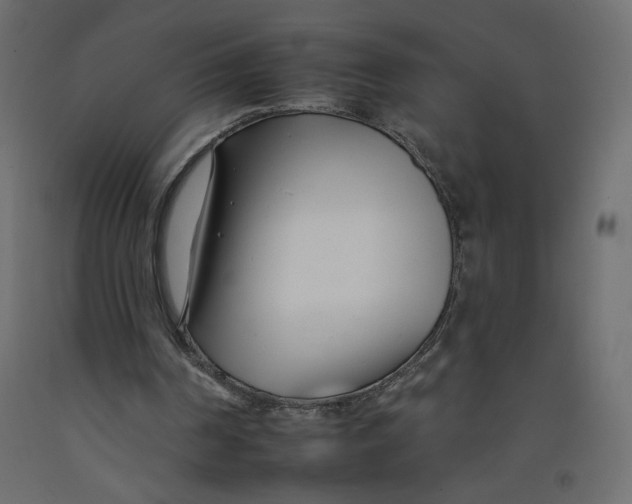 X0000092260194200710121346