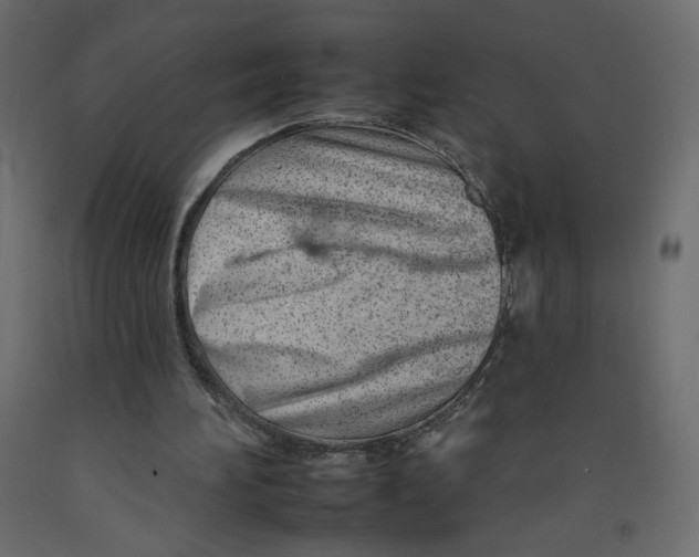 X0000092260196200710121346