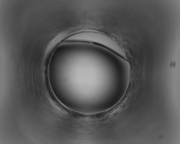 X0000092260197200710121346