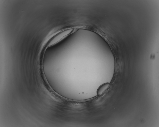 X0000092260198200710121346