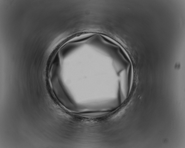 X0000092260199200710121346