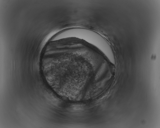 X0000092260200200710121346