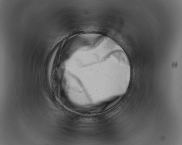 X0000092260202200710121346