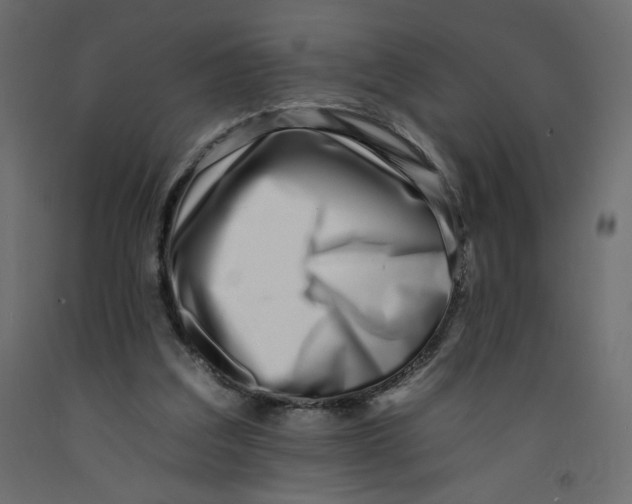 X0000092260203200710121346