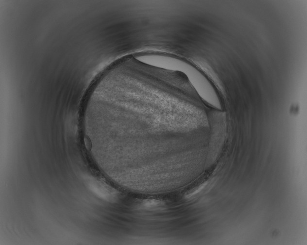 X0000092260204200710121346