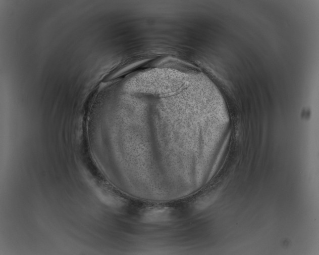 X0000092260206200710121346