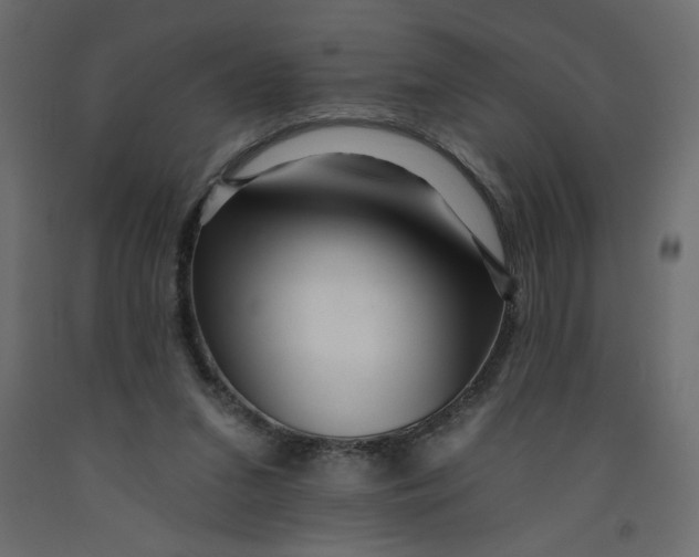 X0000092260207200710121346