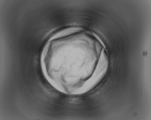 X0000092260208200710121346