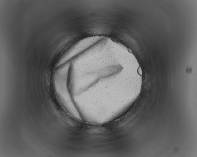 X0000092260210200710121346