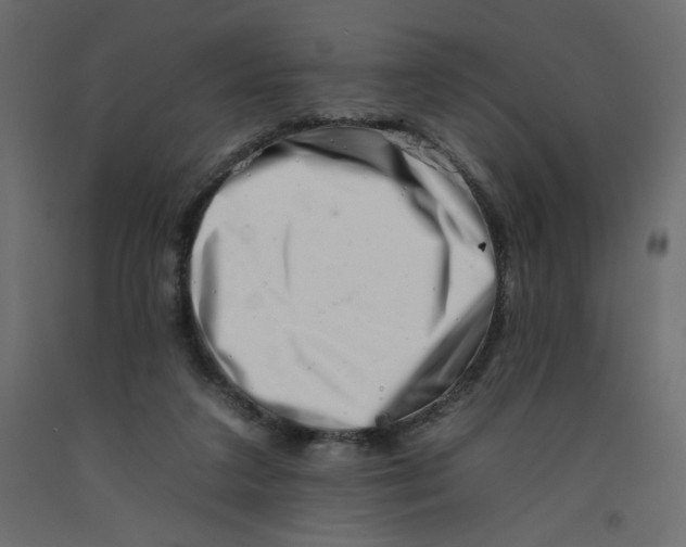 X0000092260211200710121346