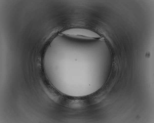 X0000092260212200710121346