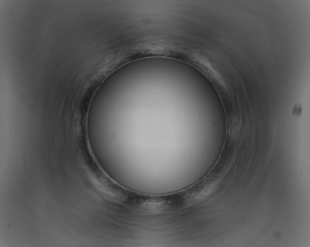 X0000092260213200710121346