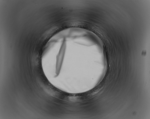 X0000092260216200710121346