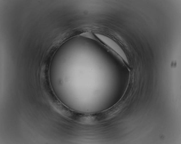 X0000092260217200710121346