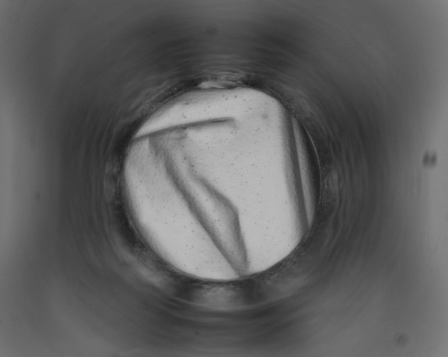 X0000092260218200710121346