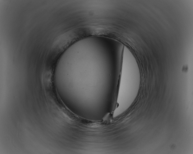 X0000092260219200710121346