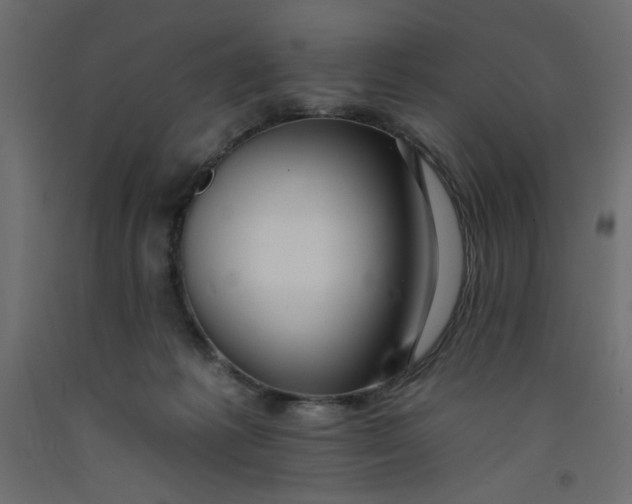 X0000092260221200710121346