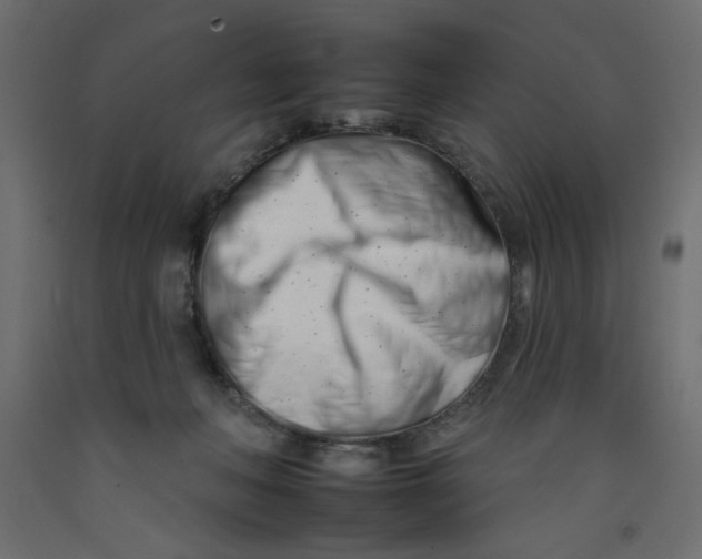 X0000092260222200710121346