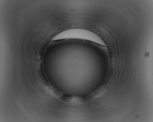 X0000092260223200710121346