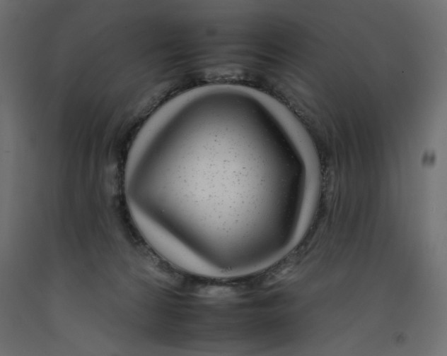 X0000092260224200710121346