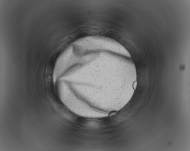 X0000092260226200710121346