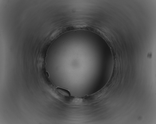 X0000092260227200710121346