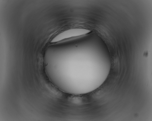 X0000092260228200710121346