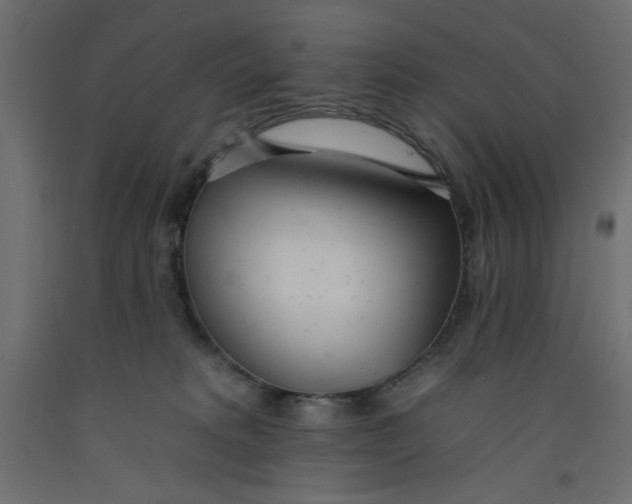 X0000092260229200710121346