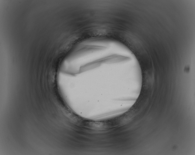 X0000092260230200710121346