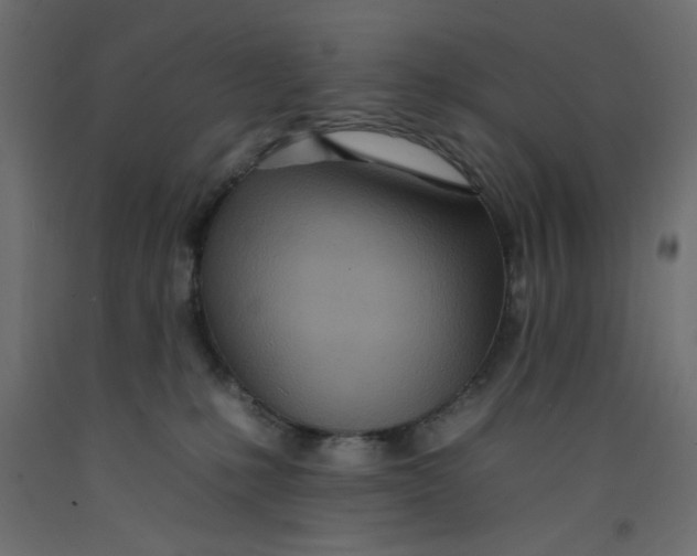 X0000092260231200710121345