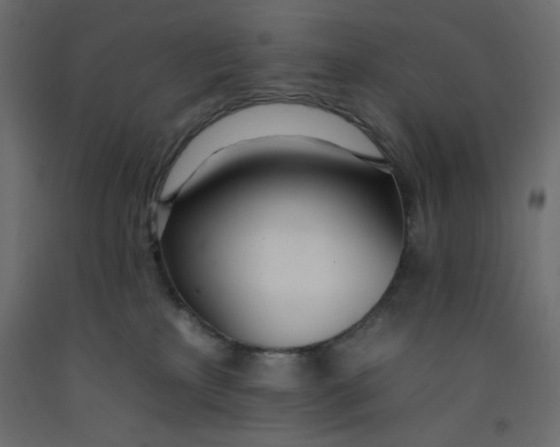 X0000092260233200710121345