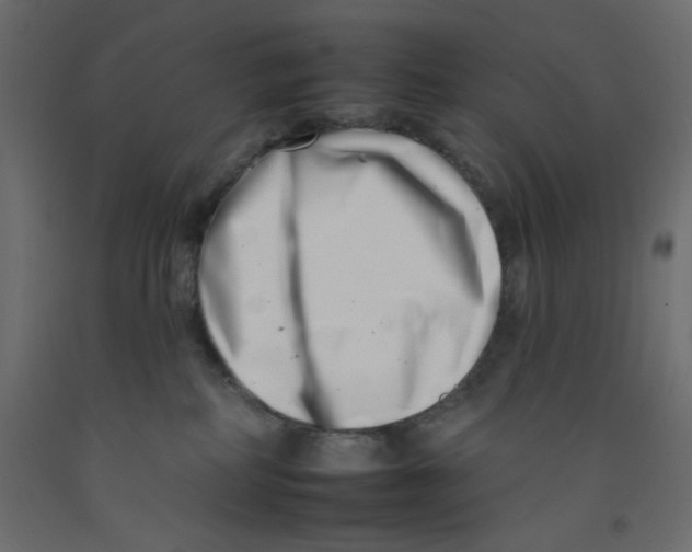 X0000092260234200710121345