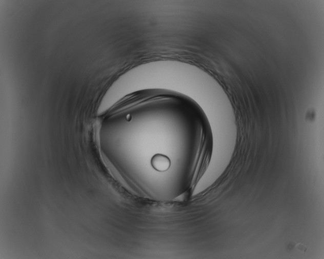 X0000092260235200710121345