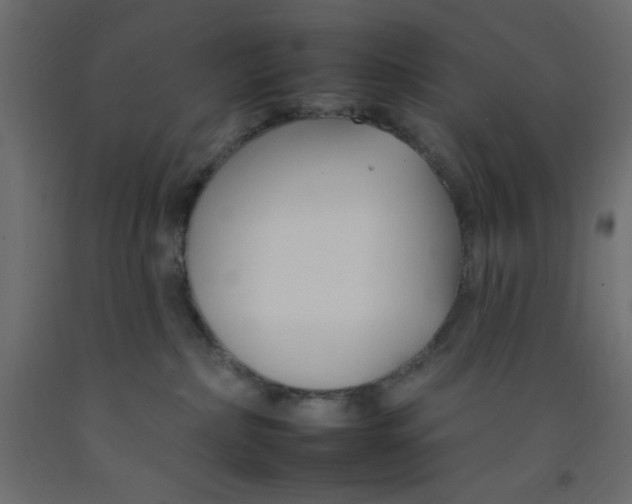 X0000092260236200710121345