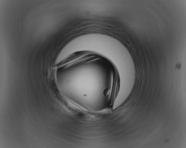 X0000092260239200710121345