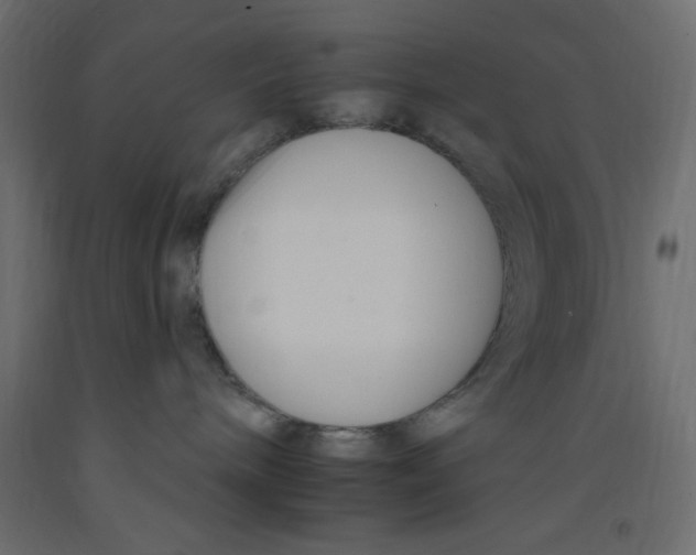 X0000092260240200710121345