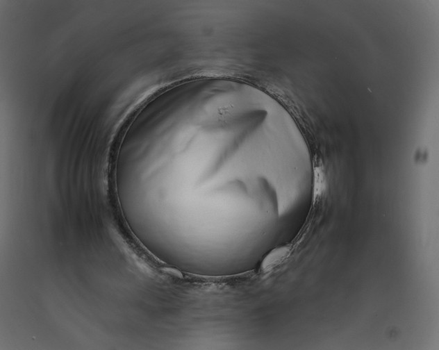 X0000092260243200710121345