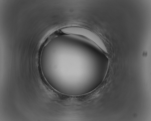 X0000092260244200710121345