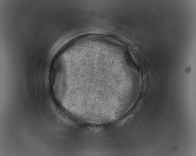 X0000092260247200710121345