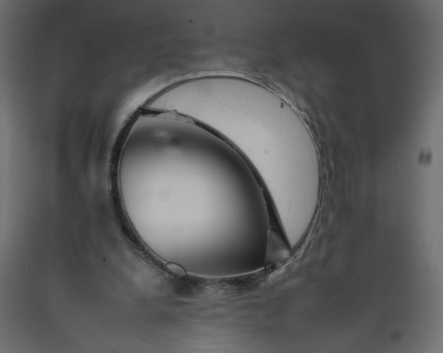 X0000092260248200710121345