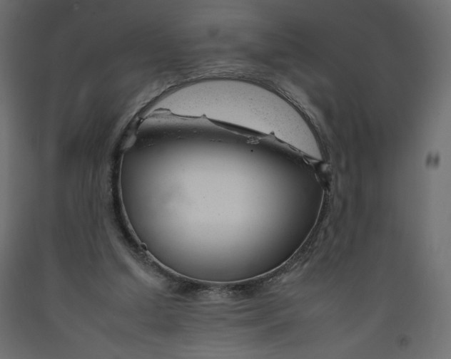 X0000092260250200710121345