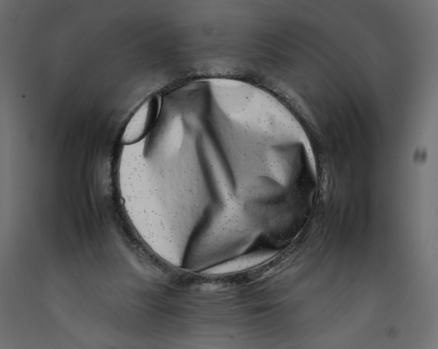 X0000092260251200710121345