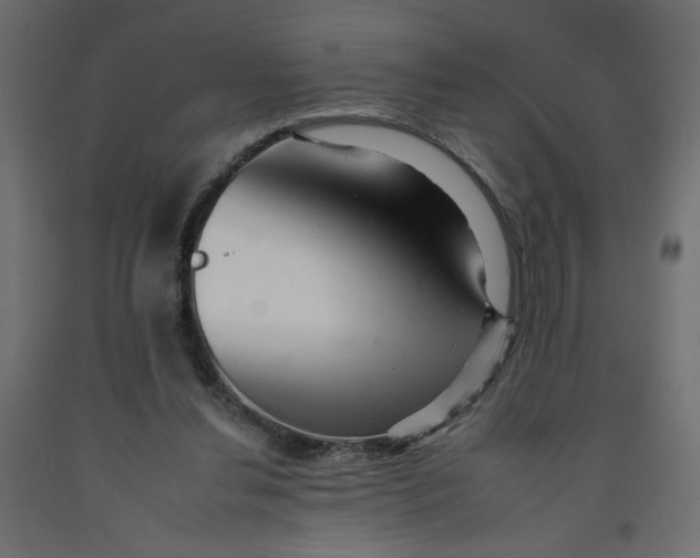 X0000092260252200710121345