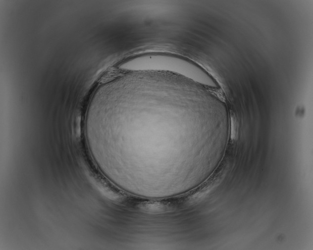 X0000092260253200710121345